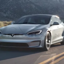 Model S in Georgia